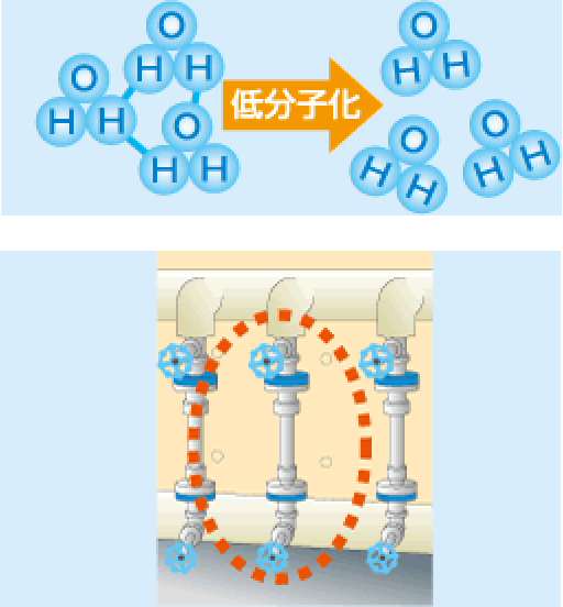 低分子化により浸透しやすい